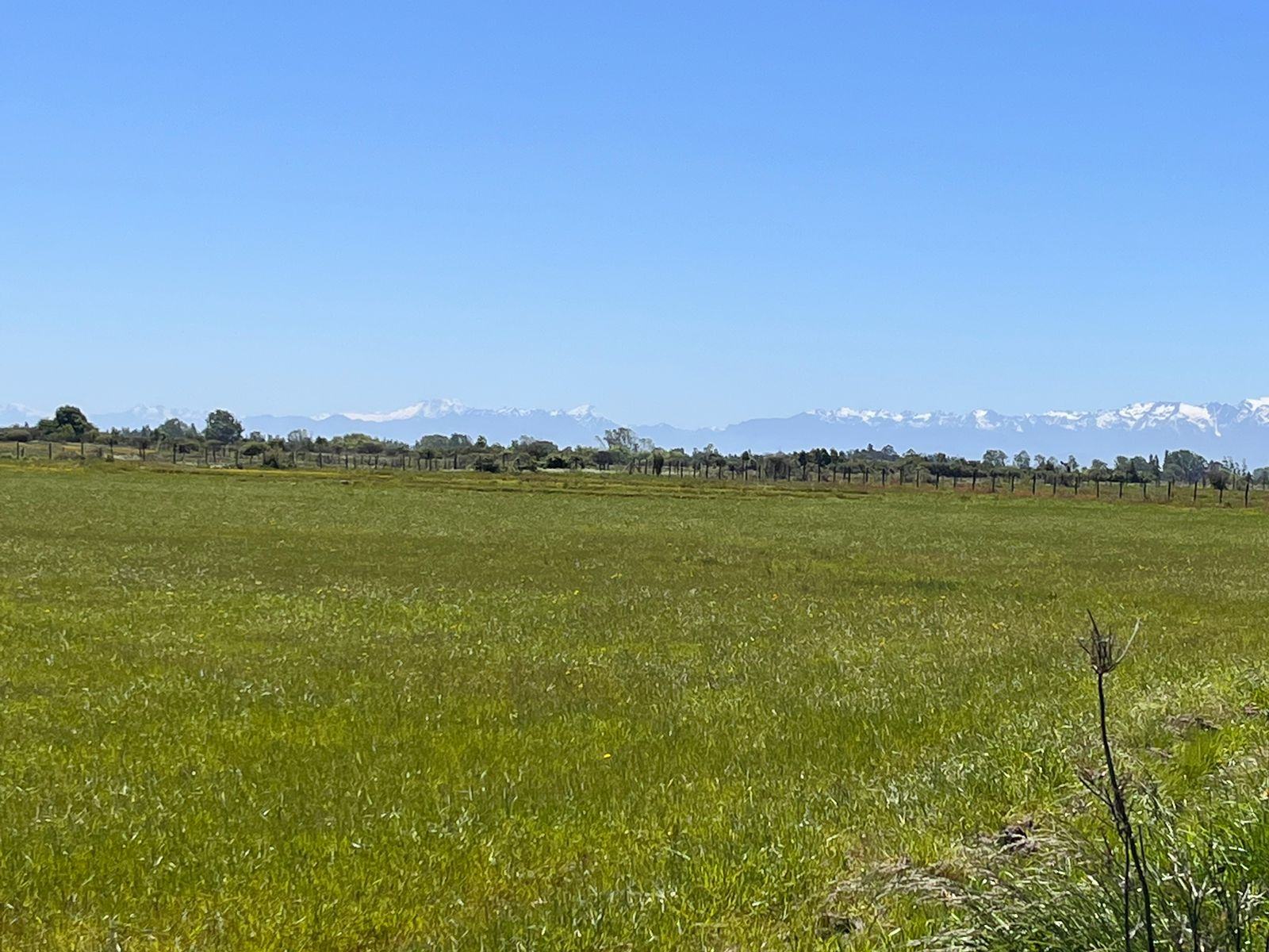 Vista abierta del campo