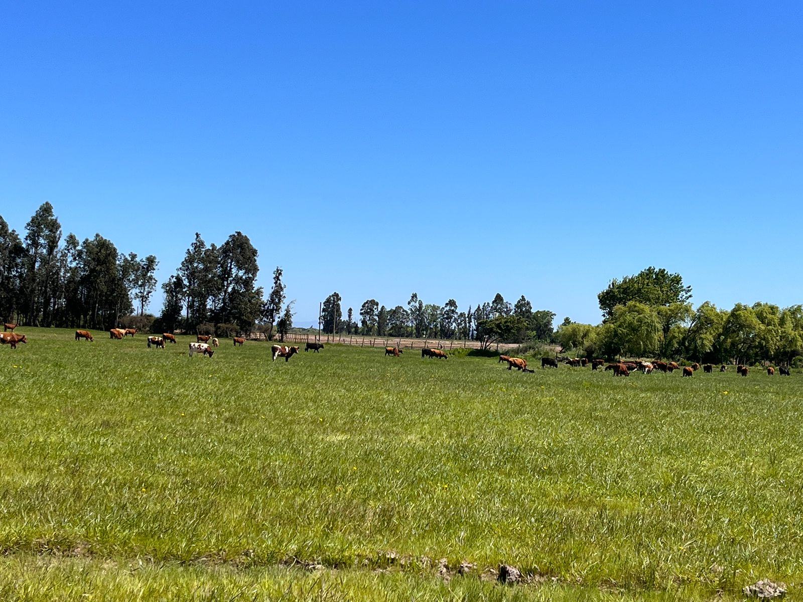 Vista amplia Fundo San Rafael