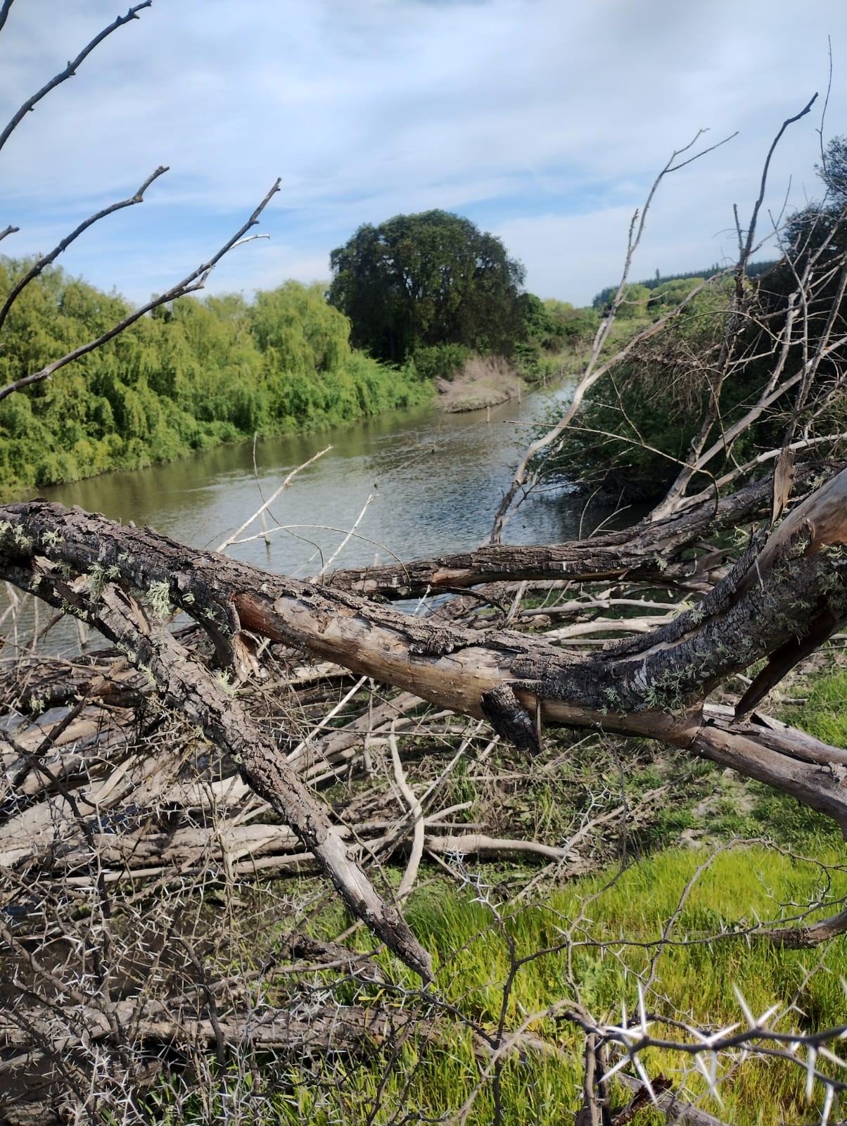 Río Quella cerca de La Florida 4 Esquinas